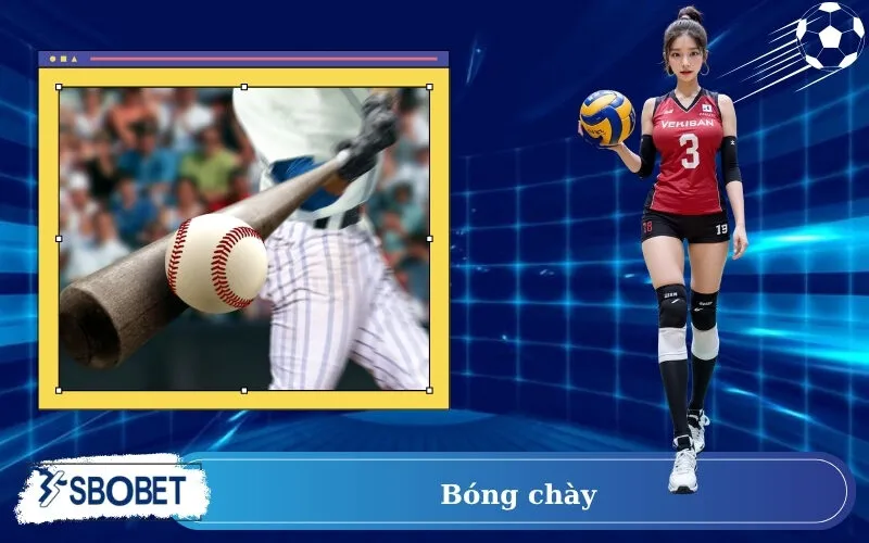bóng chày
