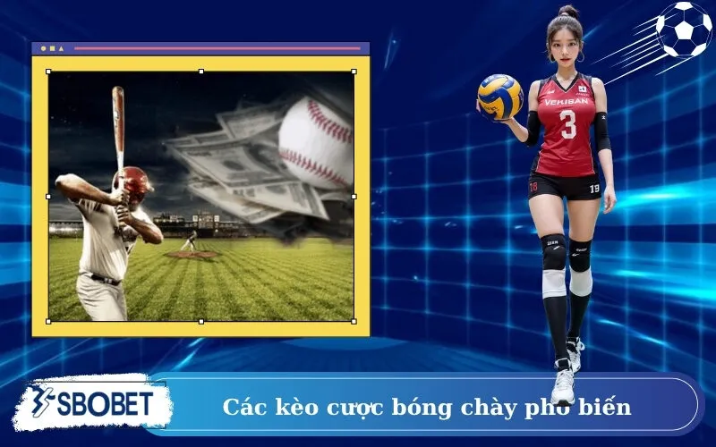Các kèo cược bóng chày phổ biến