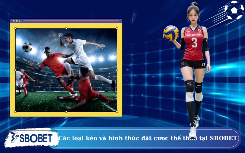 Các loại kèo và hình thức đặt cược thể thao tại SBOBET