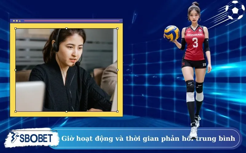 Giờ hoạt động và thời gian phản hồi trung bình