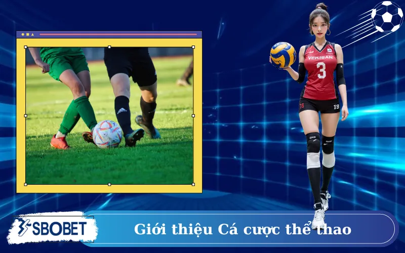 Giới thiệu Cá cược thể thao