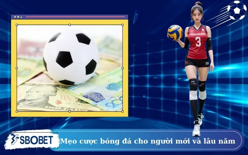 Mẹo cược bóng đá cho người mới và lâu năm