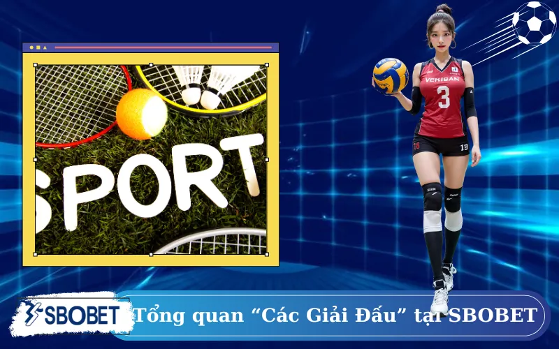 Tổng quan “Các Giải Đấu” tại SBOBET