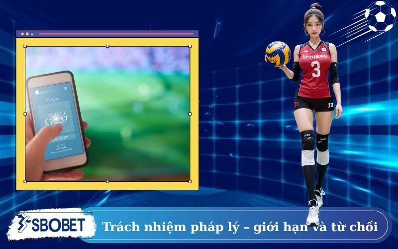 Trách nhiệm pháp lý – giới hạn và từ chối