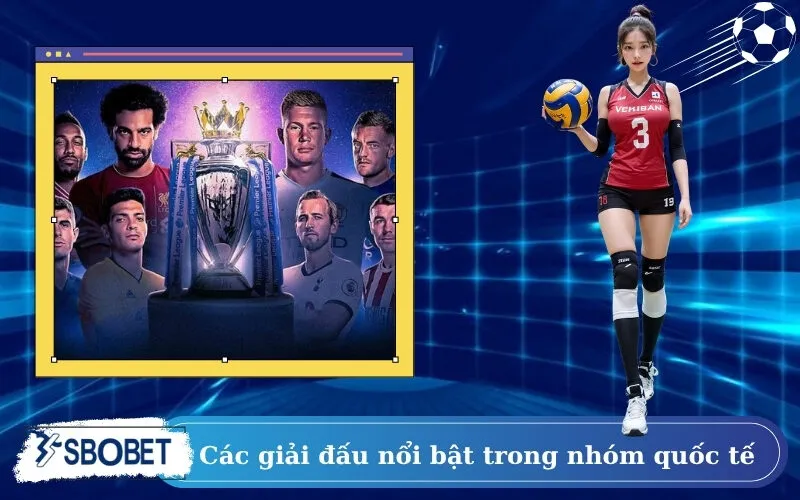 Các giải đấu nổi bật trong nhóm quốc tế