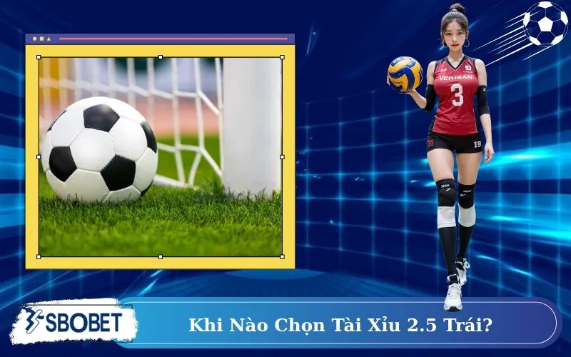Khi Nào Chọn Tài Xỉu 2.5 Trái