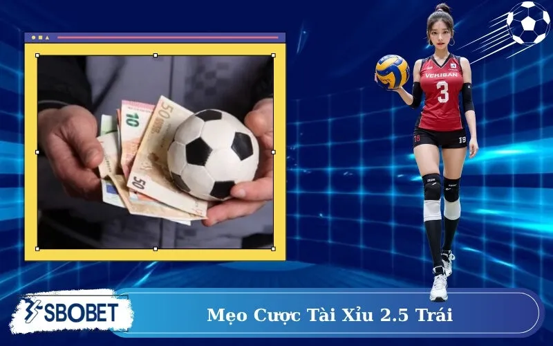Mẹo Cược Tài Xỉu 2.5 Trái